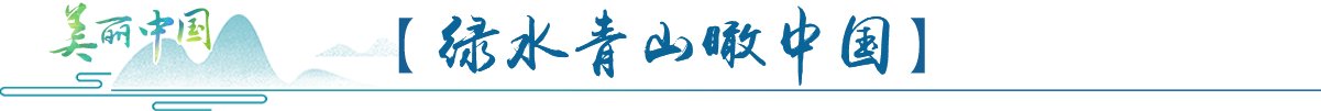 野猪出没