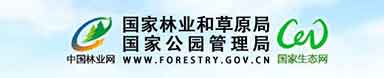 24小时全景式原生态呈现白鹭筑巢