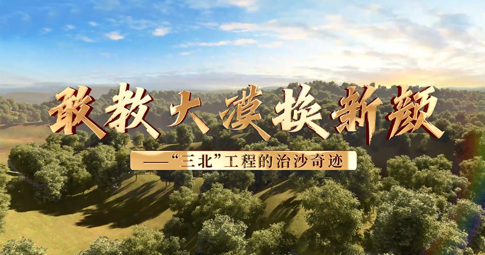 再聚中国
