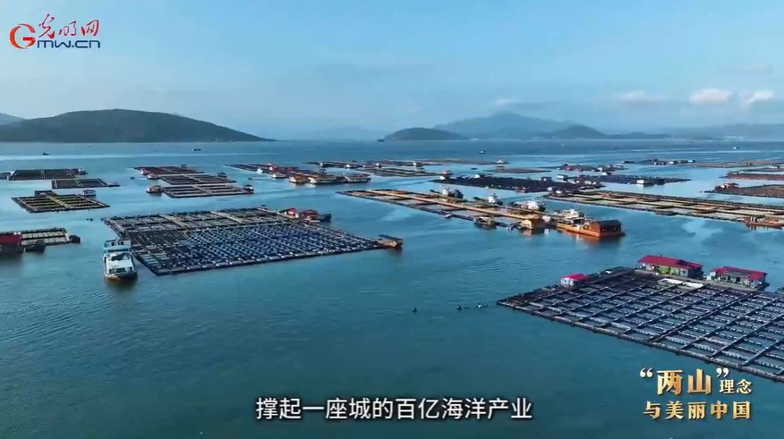 来自APEC 21个经济体和7个国际