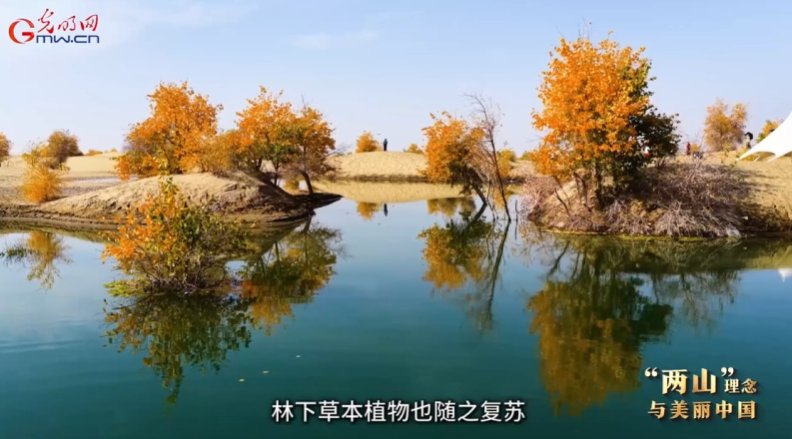 集体林改激发生态文明建设内生动力