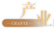 创新模式助力乡村振兴